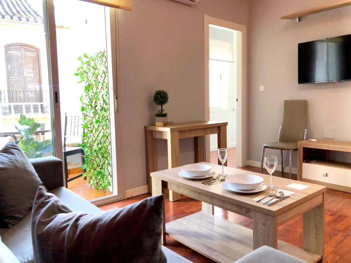 Centro Historico de Málaga, a tan solo 50m de Casa Natal de Picasso  Apartamento