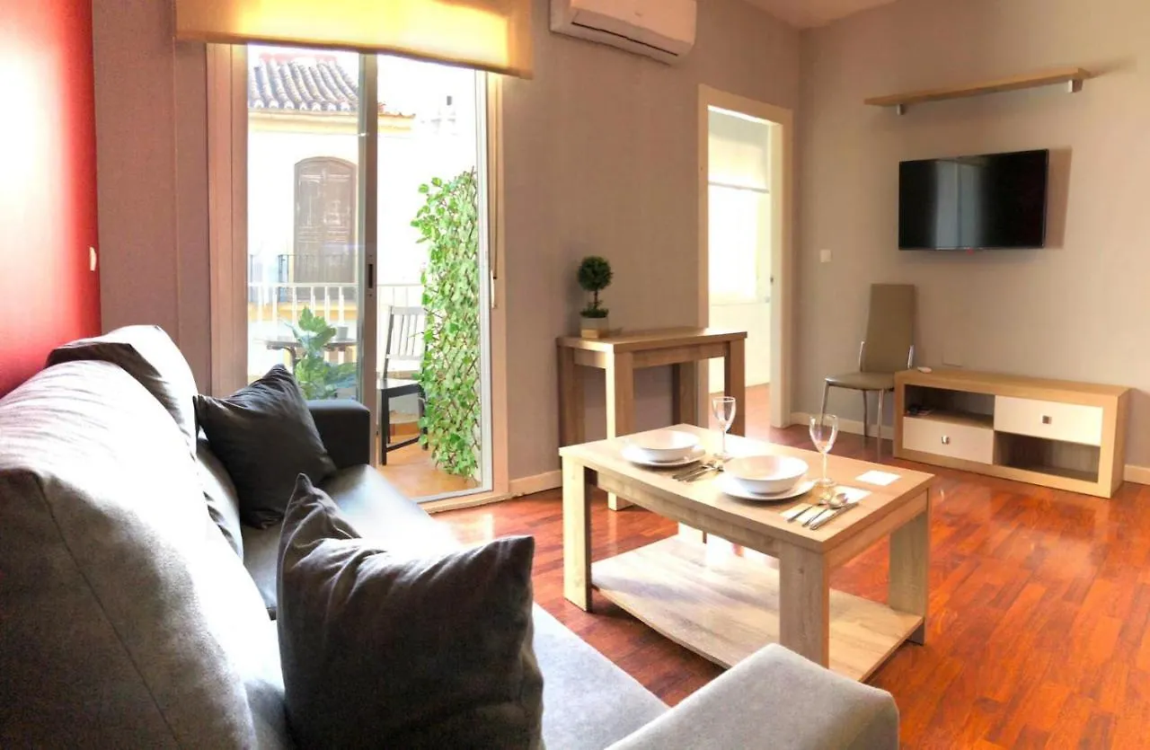 Centro Historico de Málaga, a tan solo 50m de Casa Natal de Picasso  Apartamento España